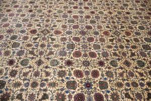 9'0 x 12'4 Handmade Royal Floral Allover Oriental Wool Rug