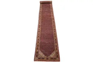2'9 X 21'9 Hand Knotted Indo Botemir Wool Runner Rug