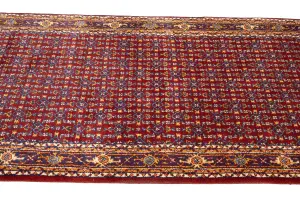 2'9 X 21'9 Hand Knotted Indo Botemir Wool Runner Rug
