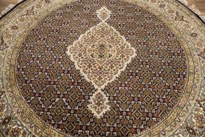 5'0 x 5'0 Hand Knotted Indo Bidjar Fish Mahi Oriental Rug