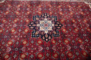 4'1 x 6'0 Hand Knotted Indo Bidjar Floral Oriental Wool Rug