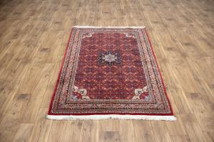 4'1 x 6'0 Hand Knotted Indo Bidjar Floral Oriental Wool Rug