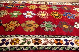 2'7x5'11 Hand Knotted Floral Tribal Oriental Wool Runner Rug