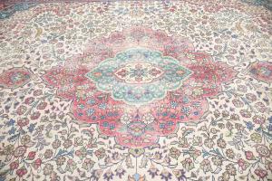 9'6x12'3 Hand Knotted Tribal Floral Oriental Wool Rug