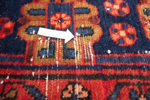5'2 X 8'10 Hand Knotted Charcoal Floral Orintal Wool rug