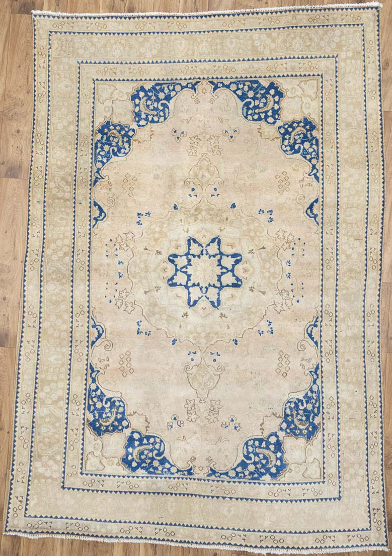 6'3x9'3 Hand Knotted Cream Floral Classic Oriental Wool Rug