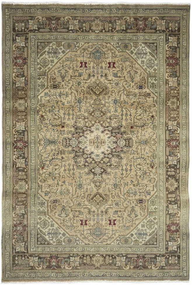8'2x10'11 Hand Knotted Floral Traditional Wool Oriental Rug