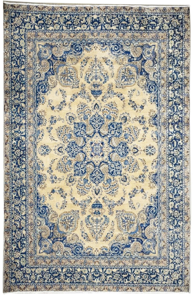 9'3x11'7 Hand Knotted Floral Traditional Wool Oriental Rug