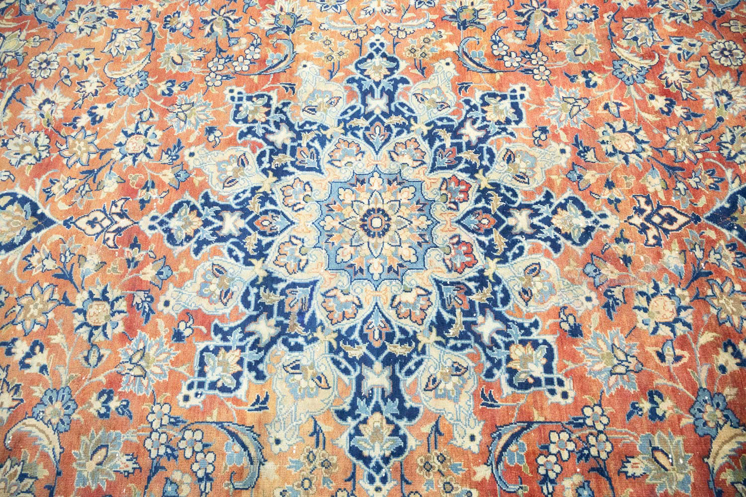 9'3x12'9 Hand Knotted Floral Traditional Wool Oriental Rug - Image 7