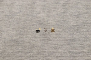 Gray Tribal 4X6 Gabbeh Modern Rug