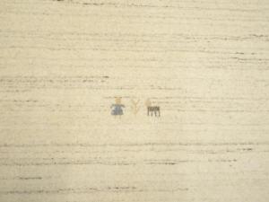 Oatmeal Tribal Gabbeh Modern Rug in All Size