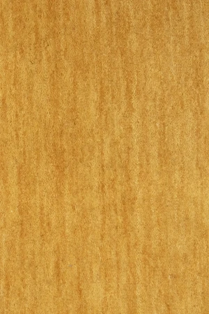 Golden Peach Tribal 9X12 Gabbeh Modern Rug