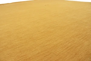 Golden Peach Tribal 9X12 Gabbeh Modern Rug
