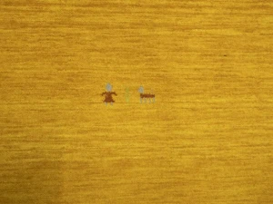 Marigold Tribal 3X8 Gabbeh Modern Runner Rug