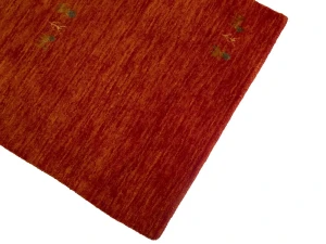 Orange-red Pictorial Gabbeh Rug in All Size