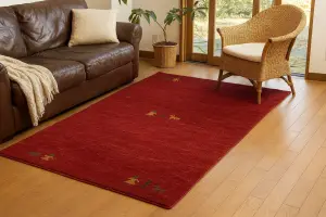 Red/Cherry red Tribal Pictorial Gabbeh Rug in All Size