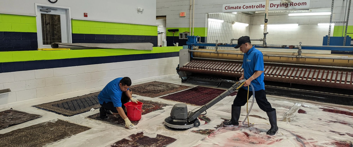 rug-cleaning-service-in-charlotte